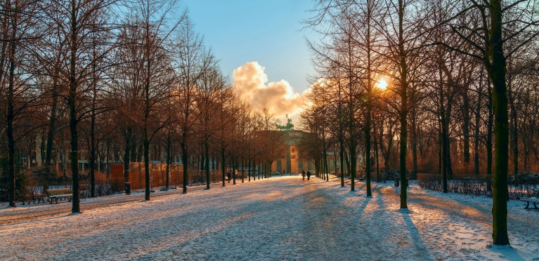 A park with trees at sunset, ground covered in a light snow