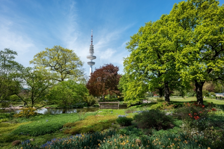 Green grass and trees at Planten un Blomen