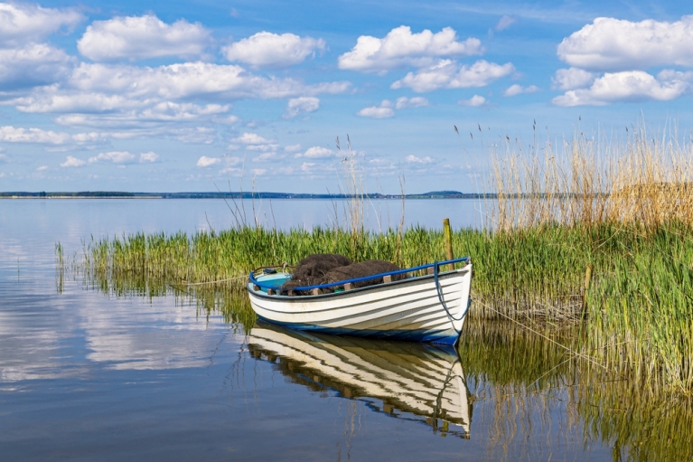 Boot neben einer Wiese auf der Insel Usedom, Deutschland