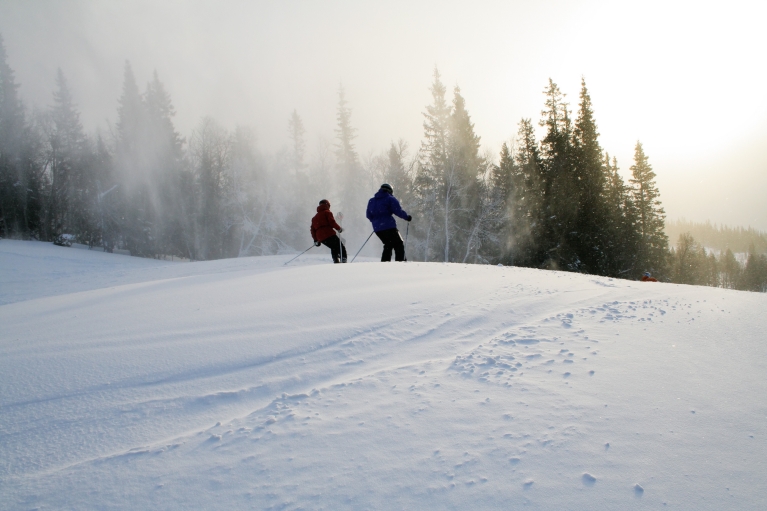 Two skiers carving down a slope in the Scandinavian mountains