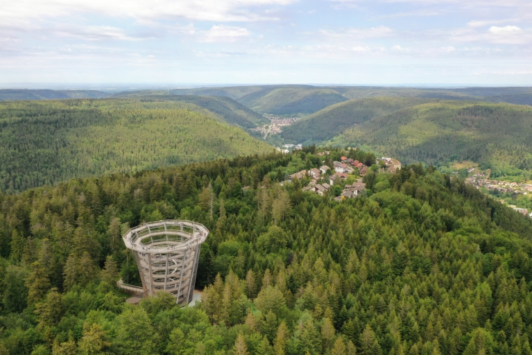 Aerial image of the Tree Top Walk near Bad Wildbad