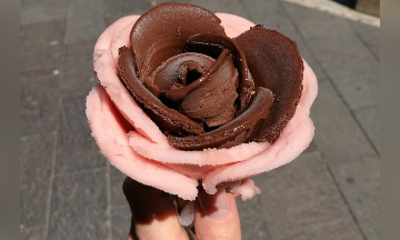 Glaces Gelarto Rosa