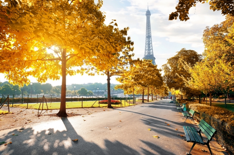 The Eiffel Tower with autumn leaves around it