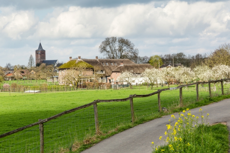 A View of De Betuwe from a Dijk in Gelderland