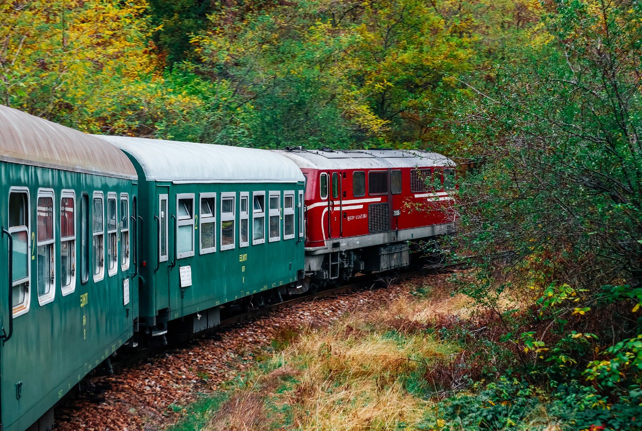 Bulgarian mountain narrow gauge train 