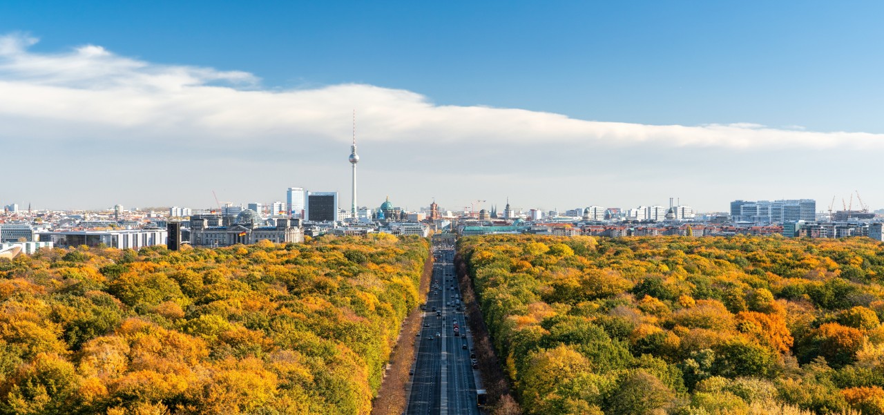 Berlin Tiergarten district in autumn with view of the city skyline